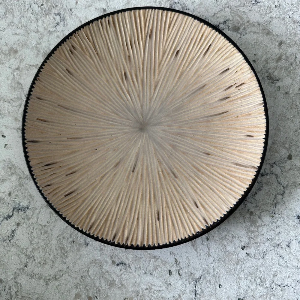 Joseph Abboud‎ Environments Ventana  Salad Plate